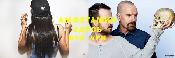 стафф Заводоуковск