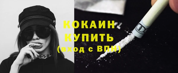 стафф Заводоуковск