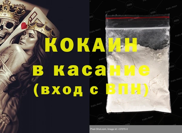 стафф Заводоуковск