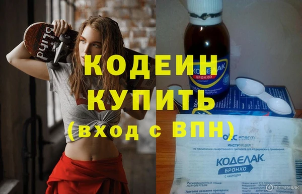 стафф Заводоуковск