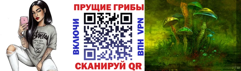 Купить закладки  Харабали  Псилоцибиновые грибы Magic Shrooms 